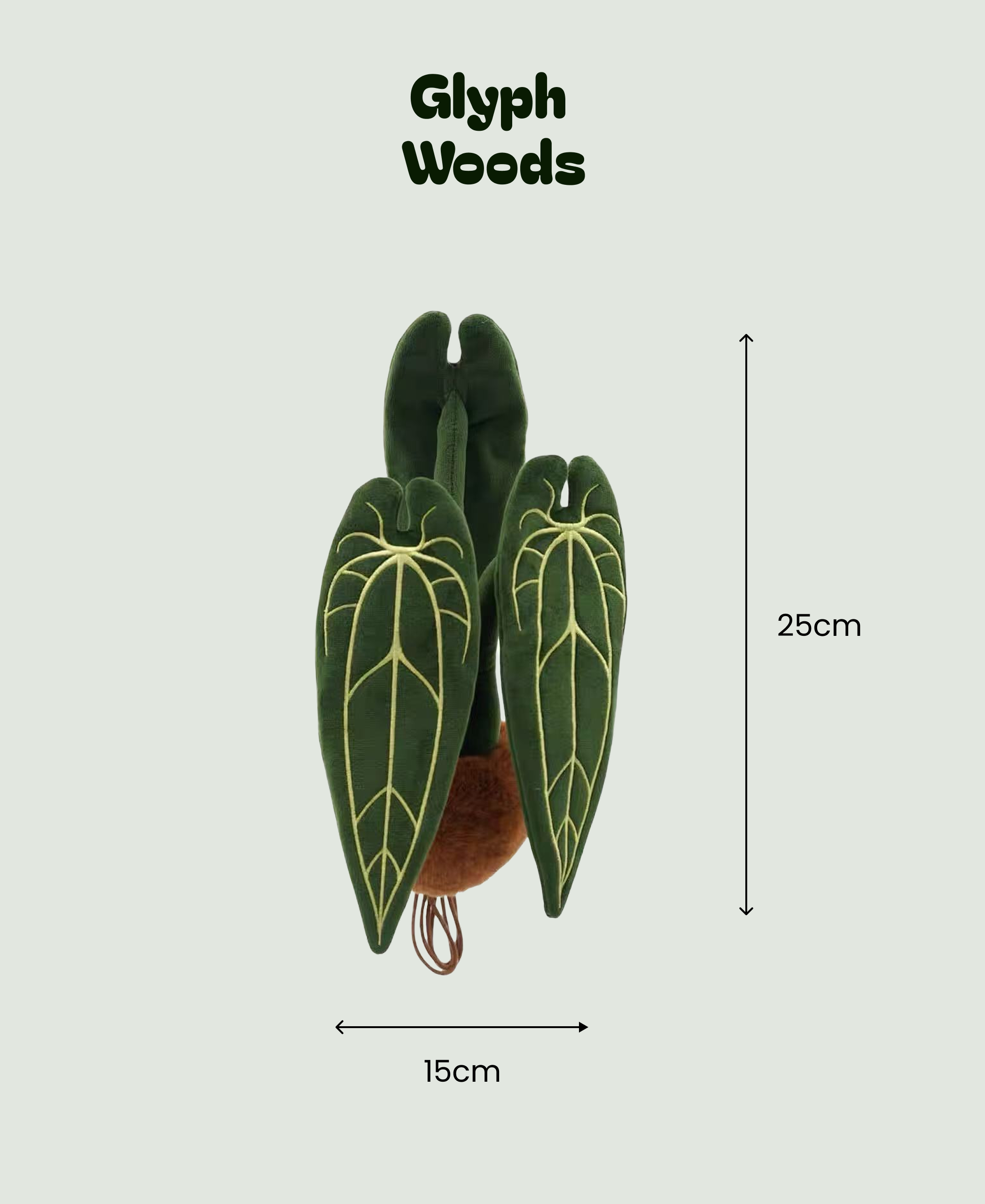 Anthurium warocqueanum