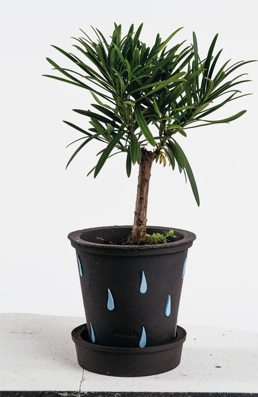 Ciireals® Little Rain Clay Plant Pot