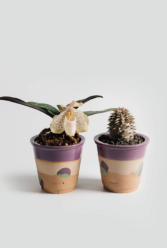 Ciireals® Little Grape Handmade Ceramic Pot