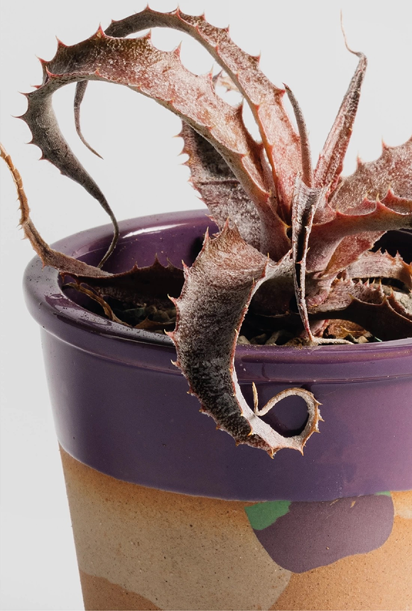 Ciireals® Little Grape Handmade Ceramic Pot