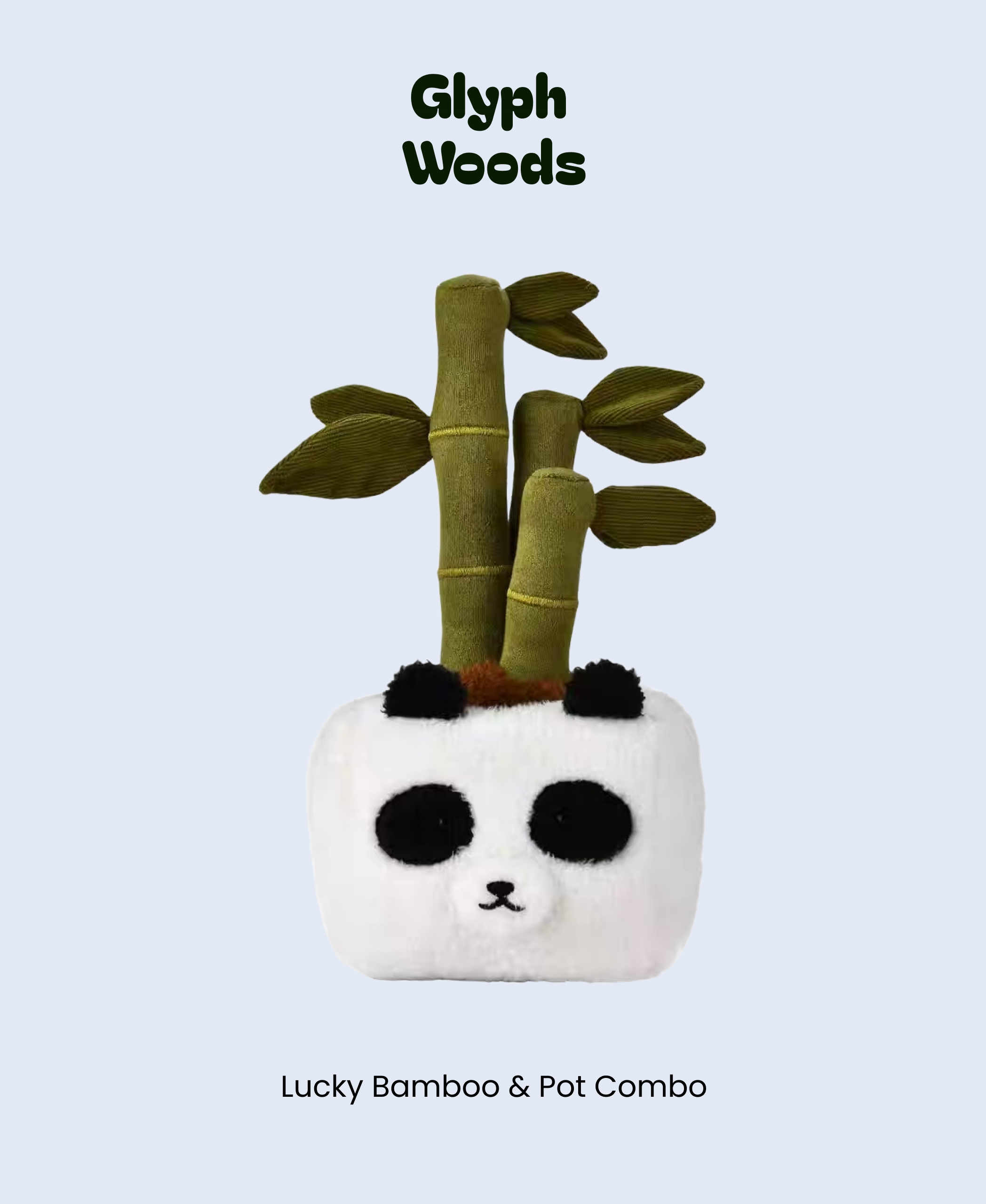 Lucky Bamboo