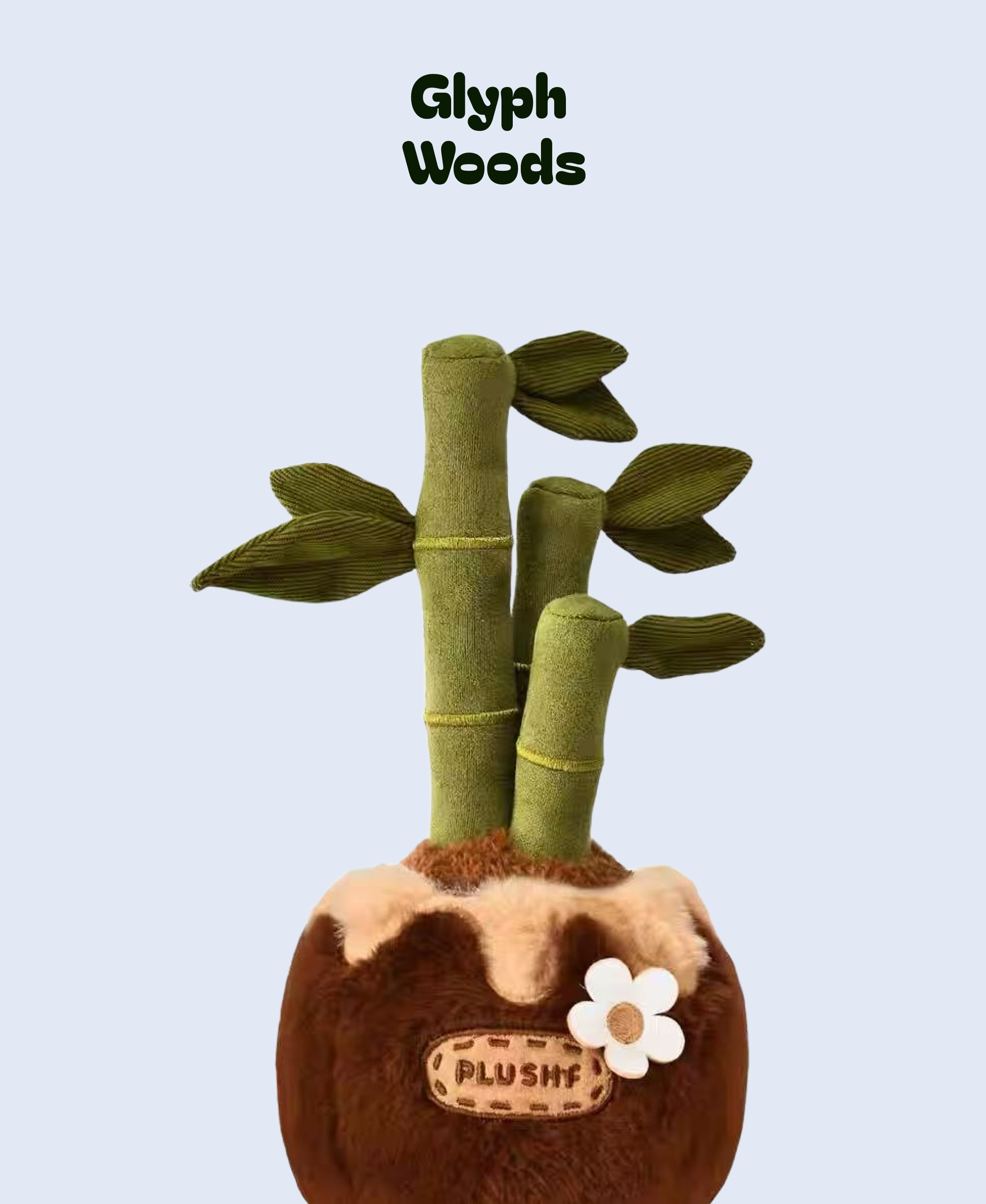 Lucky Bamboo