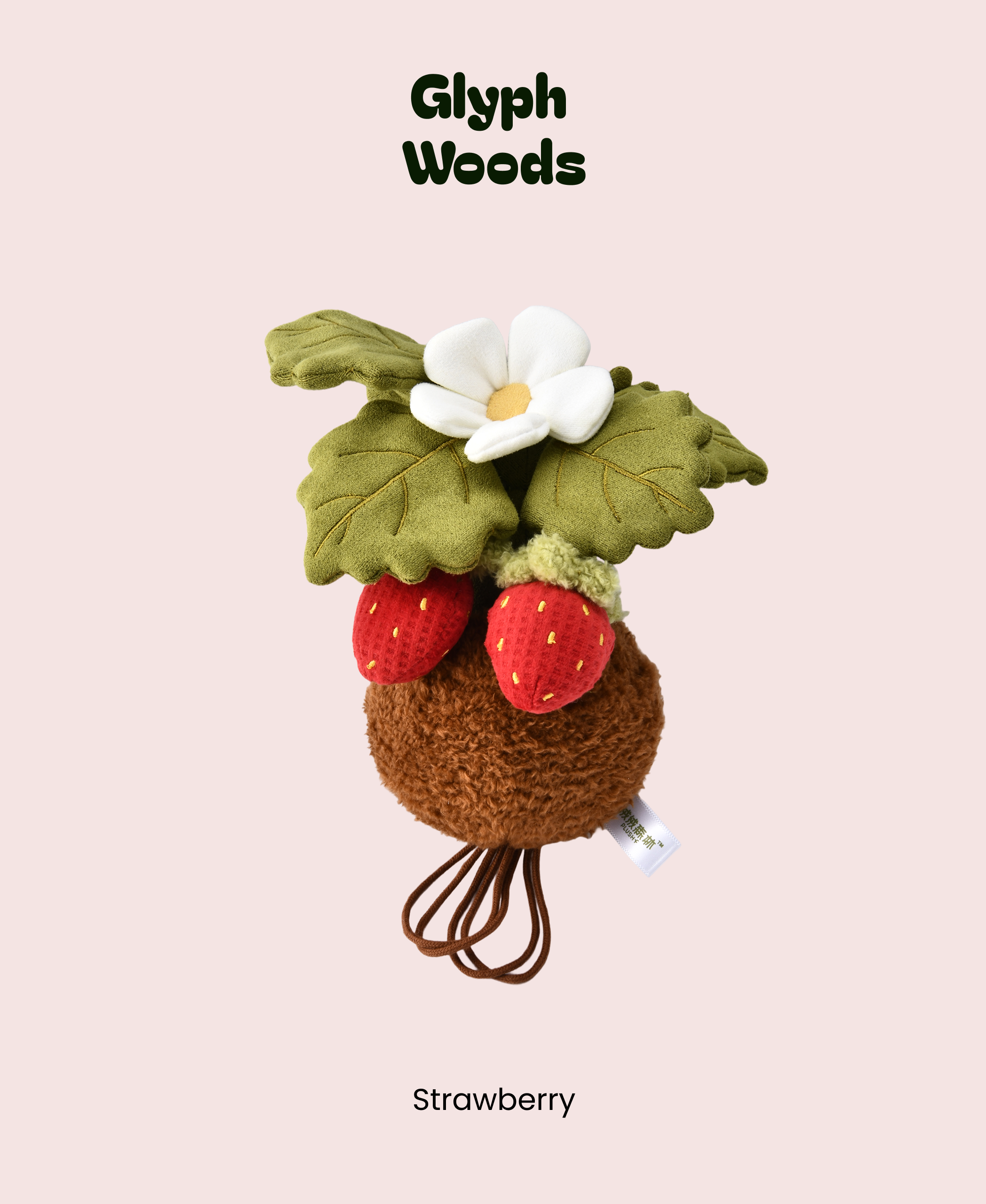 Strawberry plush plant