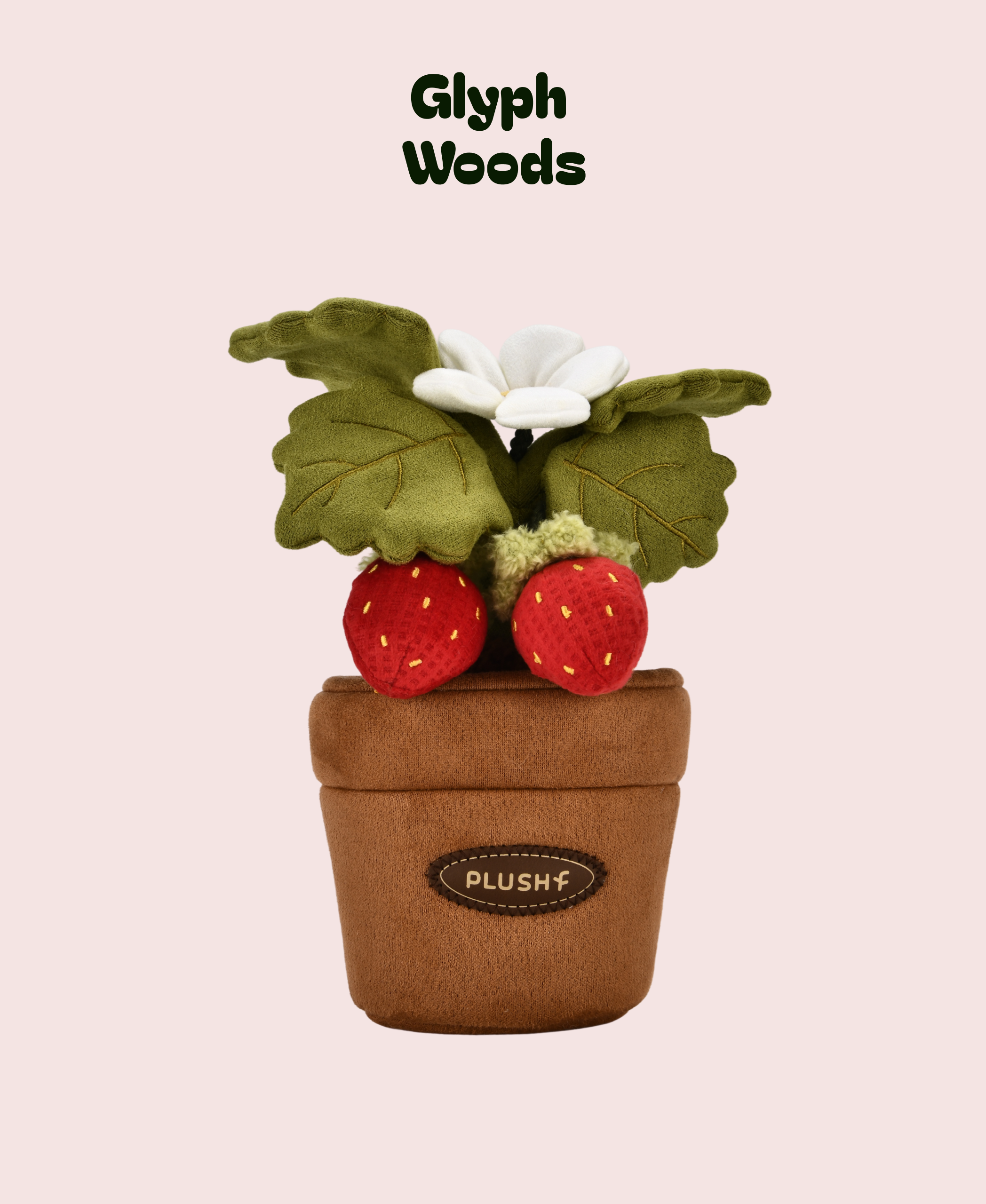 Strawberry plush plant