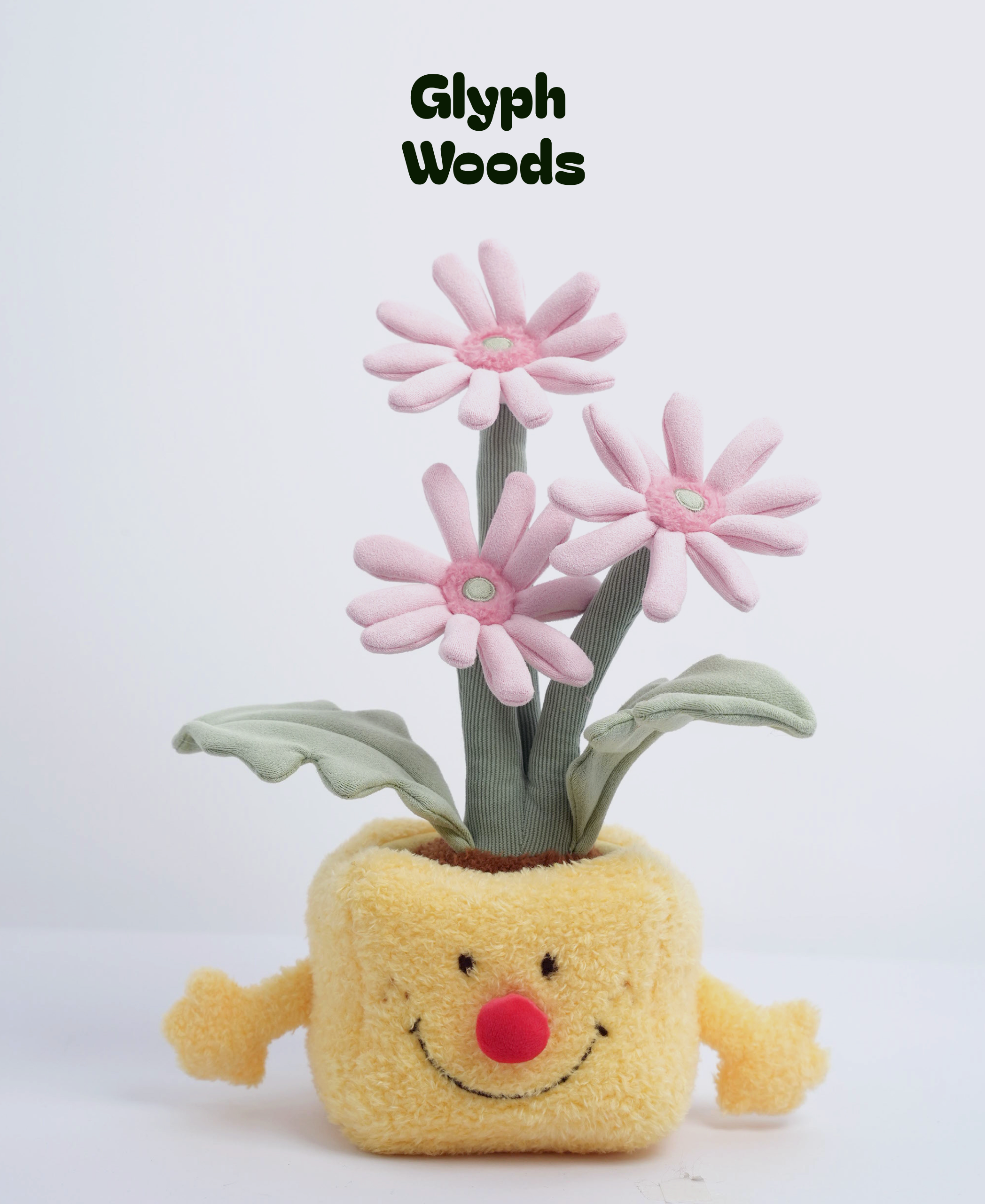 Plush Pink Gerbera Jamesonii
