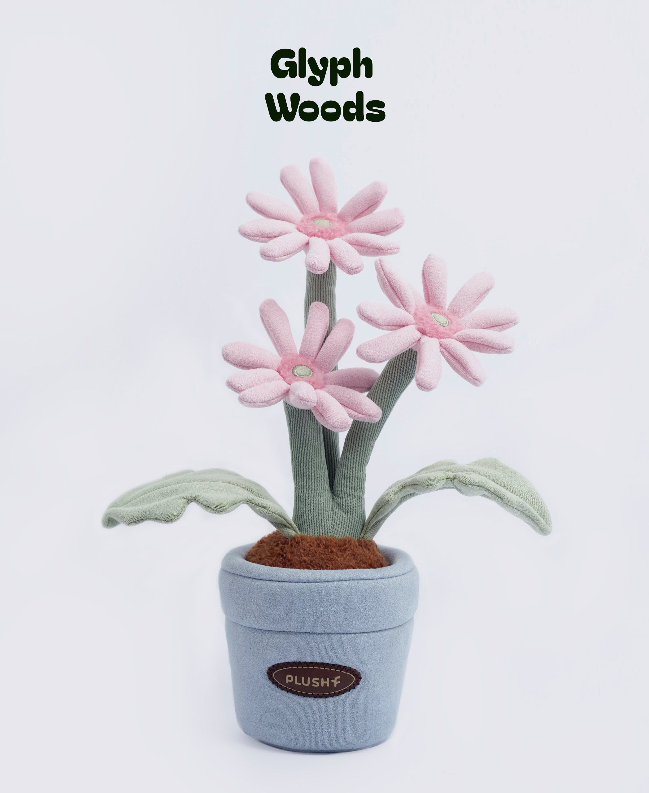 Plush Pink Gerbera Jamesonii