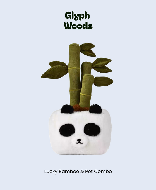 Lucky Bamboo