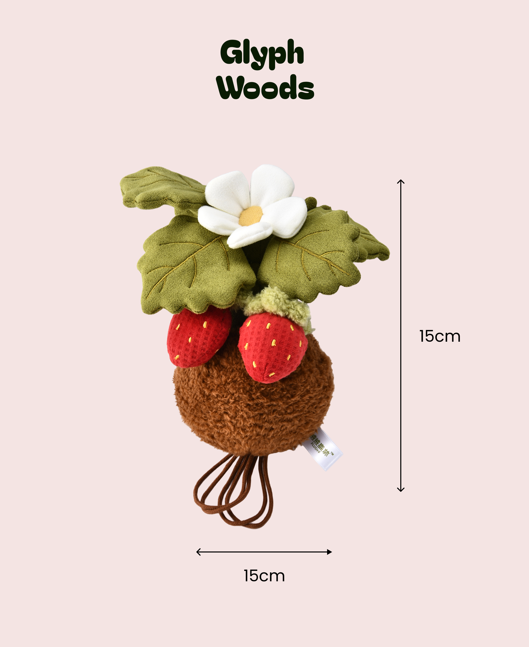 Strawberry plush plant