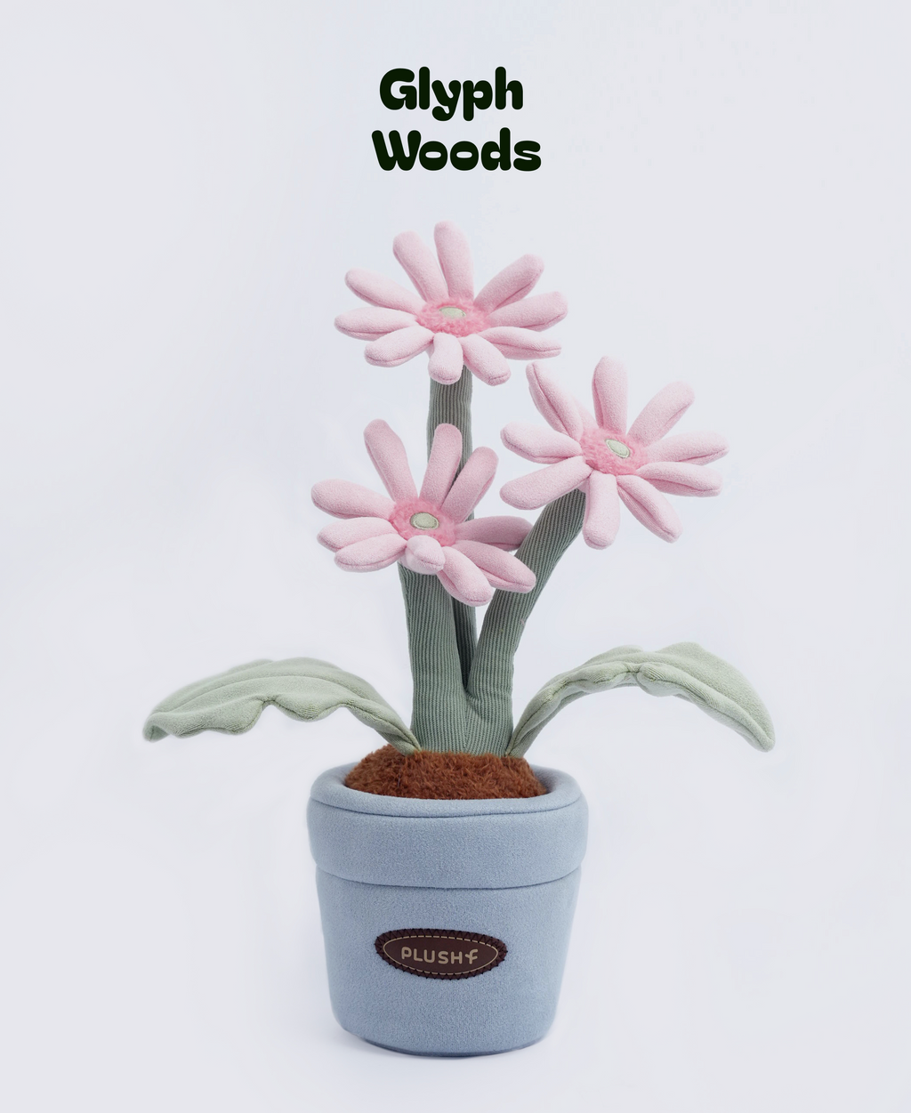 Plush Pink Gerbera Jamesonii